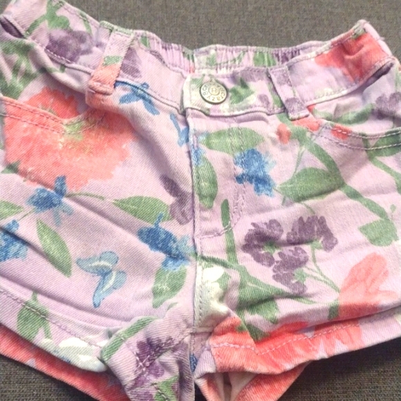 Baby girls Crazy 8 shorts size 18-24months.. - Picture 3 of 8